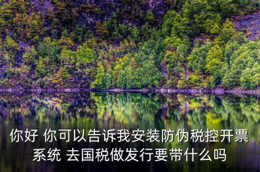 稅控發(fā)行是要做什么，稅控盤發(fā)行都呆哪些東西去稅務(wù)局需要法人去嗎