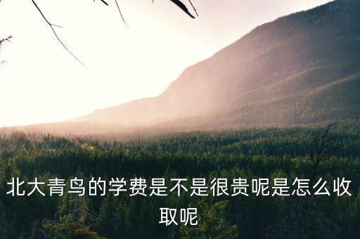 國(guó)稅局安靜工程是什么，北大青鳥(niǎo)的學(xué)費(fèi)是不是很貴呢是怎么收取呢