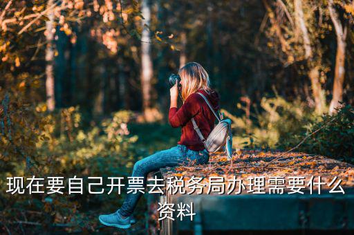 自己開專票要什么資料，開個人增值稅發(fā)票需要什么資料