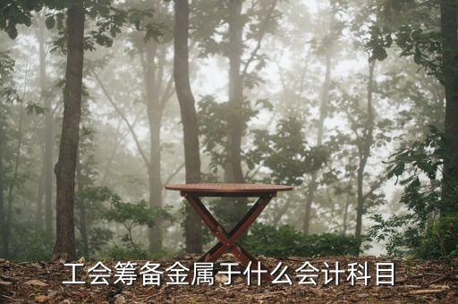 工會(huì)籌備金是什么意思，工會(huì)籌備金計(jì)入什么科目呀
