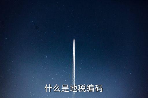 稅收編號是什么意思，稅務(wù)登記證上的企業(yè)編碼是什么意思不是就是稅務(wù)號