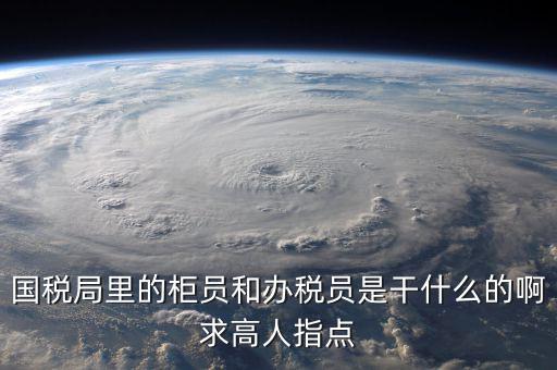 什么叫辦稅員，國(guó)稅局里的柜員和辦稅員是干什么的啊求高人指點(diǎn)