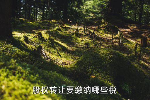 股權(quán)被轉(zhuǎn)讓要交什么稅，股權(quán)轉(zhuǎn)讓要繳納哪些稅