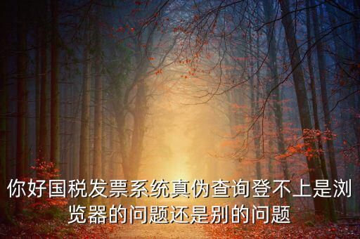 國稅登不上什么情況，為什么稅號密碼都對還是無法登錄國稅