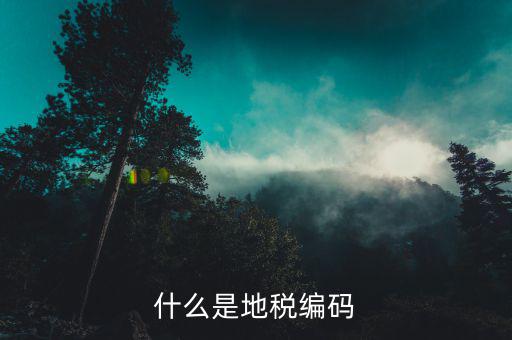面條的稅務(wù)編碼是什么意思，稅務(wù)登記證上的企業(yè)編碼是什么意思不是就是稅務(wù)號
