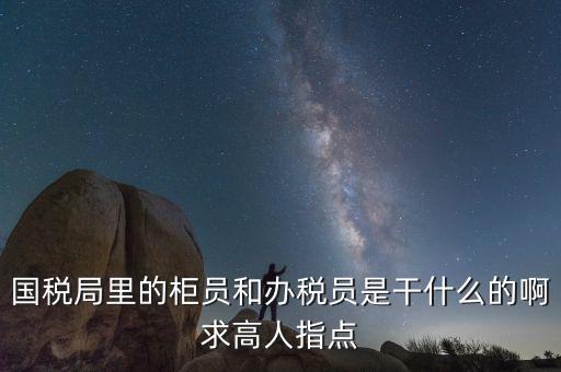 國稅志愿者可以做什么，國稅局里的柜員和辦稅員是干什么的啊求高人指點