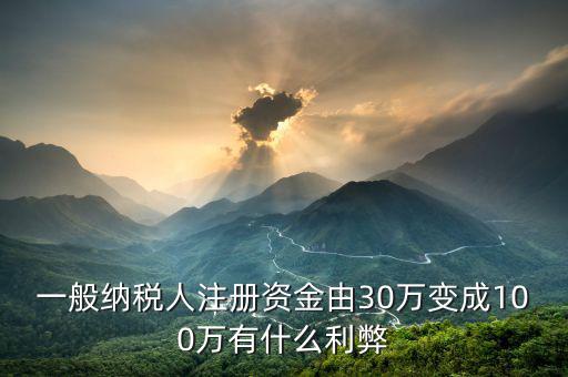 什么是案頭審核，一般納稅人注冊資金由30萬變成100萬有什么利弊