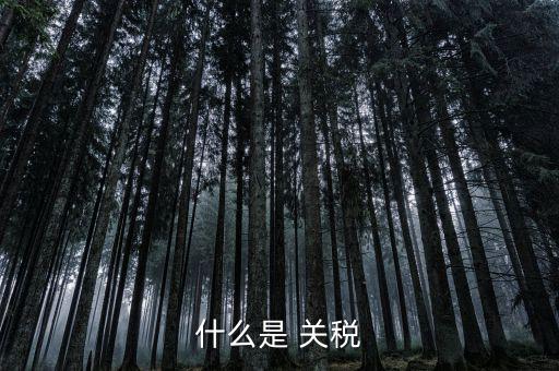 什么是國境關(guān)稅，關(guān)稅是什么