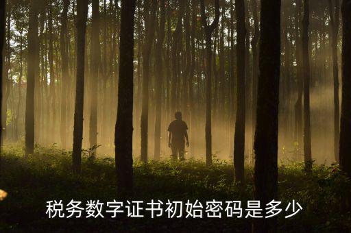 地稅數(shù)字證書的密碼是什么，稅控證書密碼是多少只有可能是8位嗎
