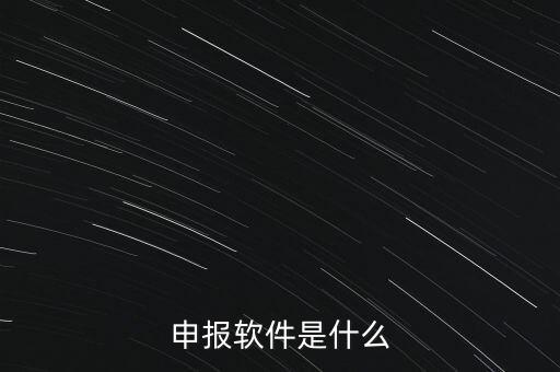 增值稅申報(bào)用什么軟件，申報(bào)軟件是什么