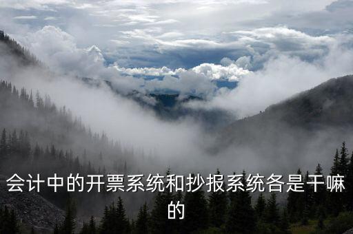 報稅開票系統(tǒng)是什么意思，每個月一號重登金稅盤開票系統(tǒng)是什么意思
