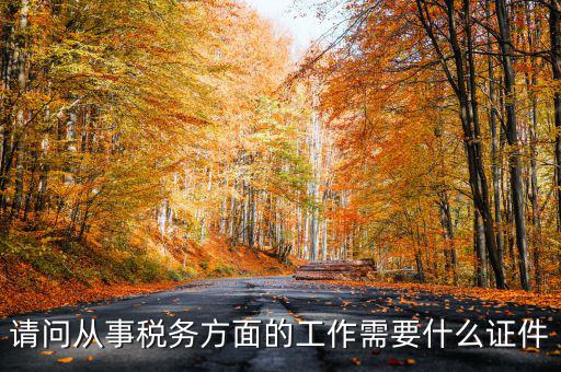請問從事稅務方面的工作需要什么證件