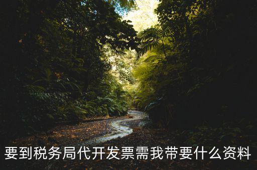 去稅務局開票需要帶什么資料，去稅務局開票的話需要帶什么材料呢