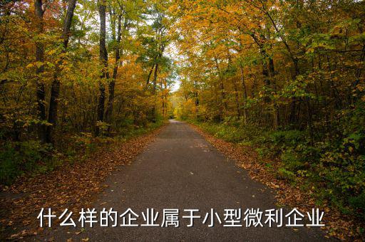 小型微利企業(yè)是什么意思，小型微利企業(yè)是怎么規(guī)定的