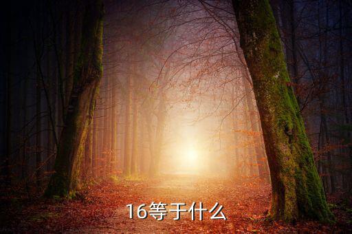 什么深圳1 6政策指，16等于什么
