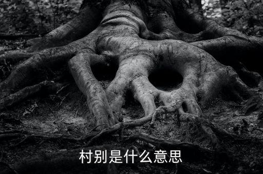 稅務(wù)所村審是什么意思，村別是什么意思