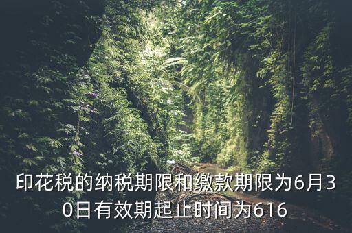 繳款期限什么意思，滯納金是什么意思