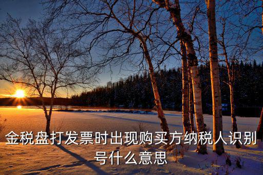 發(fā)票的付款方識別號是什么意思，開票方識別號是什么意思