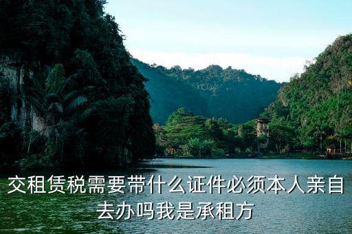 交租賃稅需要什么資料，福田交房租賃稅要帶什么資料