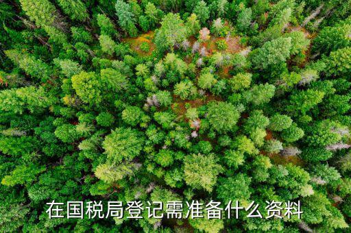 登記國稅需要什么手續(xù)，國稅登記需要帶什么資料