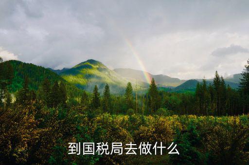 國(guó)稅局什么工作，國(guó)稅是做什么工作的