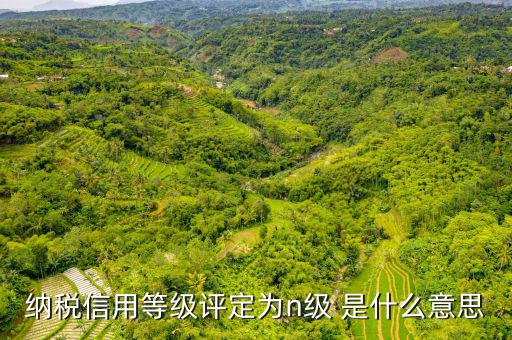 納稅信用等級(jí)b級(jí)是什么意思，納稅信用等級(jí)評(píng)定為n級(jí) 是什么意思