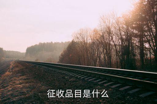 所得稅品目名稱(chēng)是什么，請(qǐng)問(wèn)個(gè)人所得稅的全稱(chēng)是什么謝謝