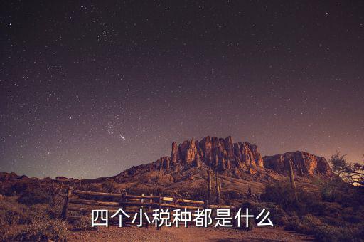 地稅小稅種是什么意思，四個小稅種都是什么
