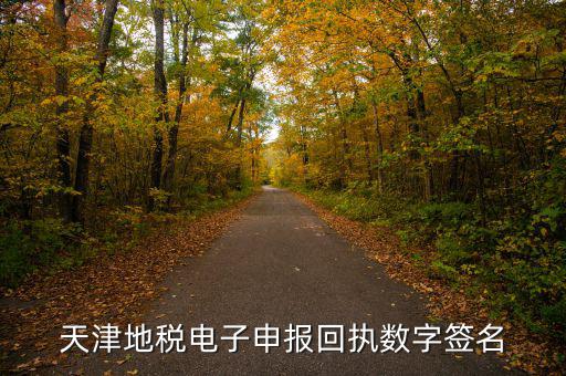 天津地稅自查表是什么，天津地稅電子申報(bào)回執(zhí)數(shù)字簽名