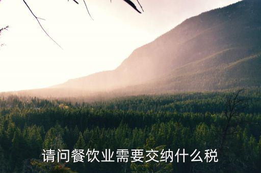 餐飲業(yè) 公司 交什么稅，餐飲企業(yè)繳納哪些稅