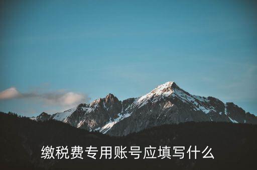 繳稅賬戶填什么，繳稅費(fèi)專用賬號(hào)應(yīng)填寫什么