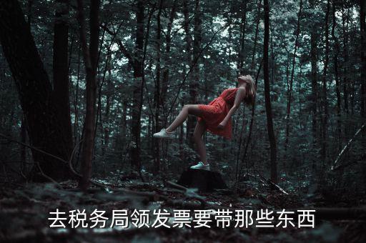 國(guó)稅領(lǐng)取發(fā)票需要帶什么，去國(guó)稅局領(lǐng)發(fā)票要帶什么