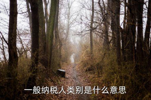納稅人類別填什么，一般納稅人類別是什么意思