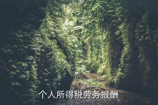 個(gè)稅什么情況勞務(wù)報(bào)酬，有關(guān)個(gè)稅勞務(wù)報(bào)酬