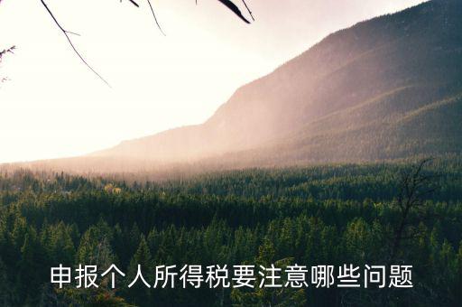 個(gè)體核稅要注意什么，個(gè)體戶營業(yè)執(zhí)照及稅務(wù)辦理時(shí)的注意事項(xiàng)