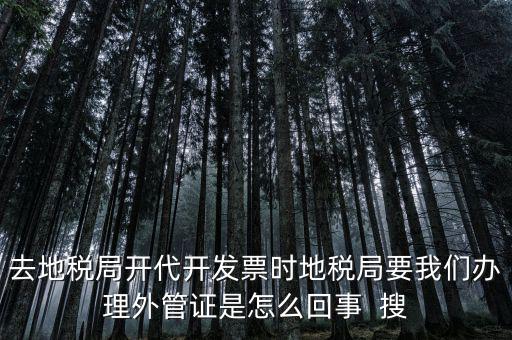 為什么要開(kāi)電子外管證，像您咨詢一下關(guān)于外管證的事宜我前一陣開(kāi)了外管證您說(shuō)是避免