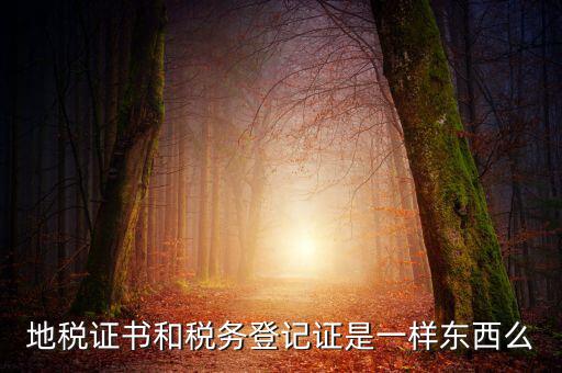 地稅登記證是什么，地方稅納稅資料封面上稅務登記證號是甚么