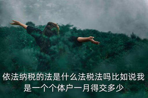什么是依法納稅人，依法納稅的法是什么法稅法嗎比如說我是一個個體戶一月得交多少