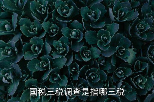 全國稅收調(diào)查是什么，全國稅收調(diào)查表中審核公式IFXXBB8 1 XXBB8 4