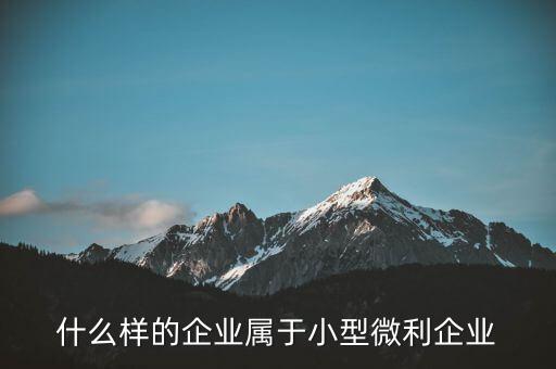 什么企業(yè)算小微企業(yè)，由什么部門來(lái)核準(zhǔn)企業(yè)屬于小微企業(yè)