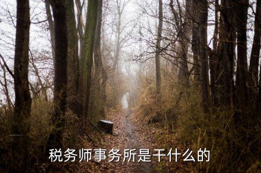 稅務(wù)師事務(wù)所 外勤是做什么的，稅務(wù)師事務(wù)所是干什么的