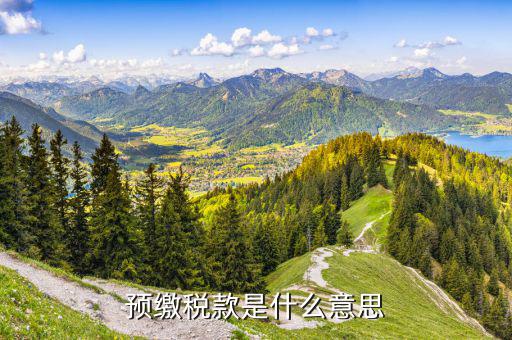 增值稅預(yù)繳需要什么意思，預(yù)繳稅款是什么意思