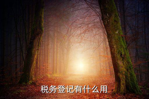 有稅務登記有什么好，稅務登記有什么用