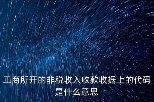 什么是地稅的非稅編號，非稅繳款借入款項(xiàng)的代碼是什么