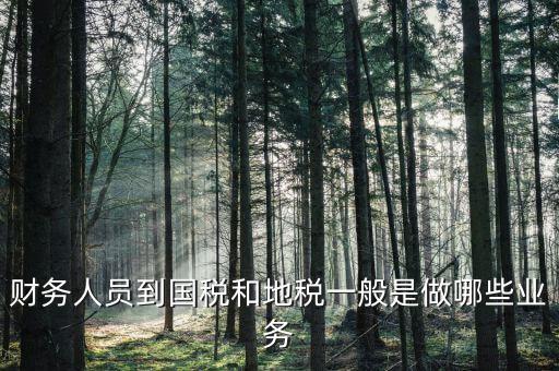 國稅地稅有什么工作，地稅工作人員有哪些職務(wù)