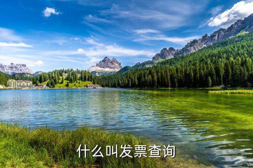 發(fā)票查驗(yàn)單是什么意思，簡述什么是發(fā)票檢查