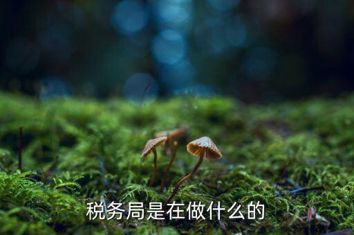 稅務(wù)總局是做什么的，稅務(wù)局是在做什么的