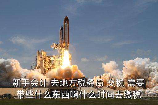 新手會計 去地方稅務局 交稅 需要帶些什么東西啊什么時間去繳稅