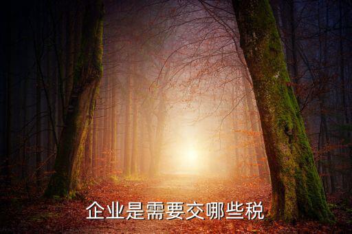 公司要交什么稅，企業(yè)是需要交哪些稅