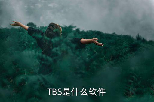 金穗軟件是什么軟件，這個軟件叫什么